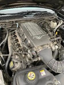 Mustang GT/CS - Photo 5