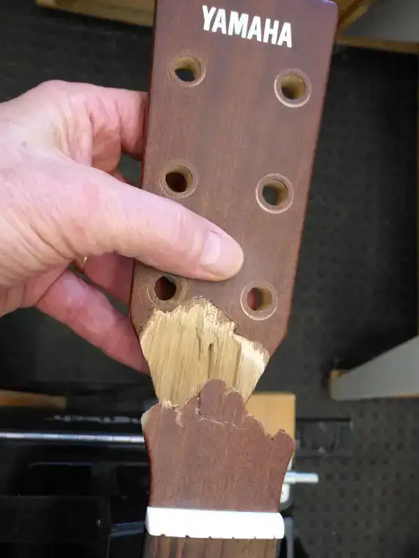 Foxhunt Luthiery instrument service & repairs - Photo 2