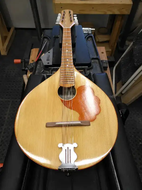 Foxhunt Luthiery instrument service & repairs - Photo 8