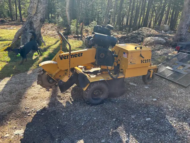 stump grinding service