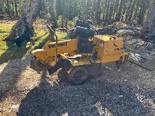 stump grinding service