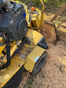 stump grinding service - Photo 3
