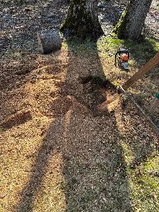stump grinding service - Photo 5
