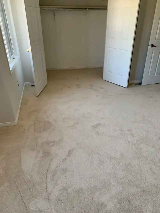 PRO CARPET SALES & INSTALLATION – FREE ESTIMATES! - Photo 8