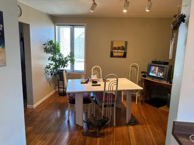 Pour 1er juillet . 5 1/2 , 2 chambres. Centre ville. - Photo 4