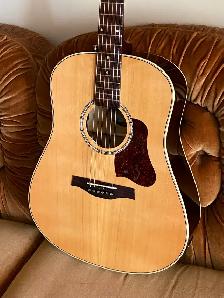 SEAGULL Coastline Momentum A/E GUITAR with electronics