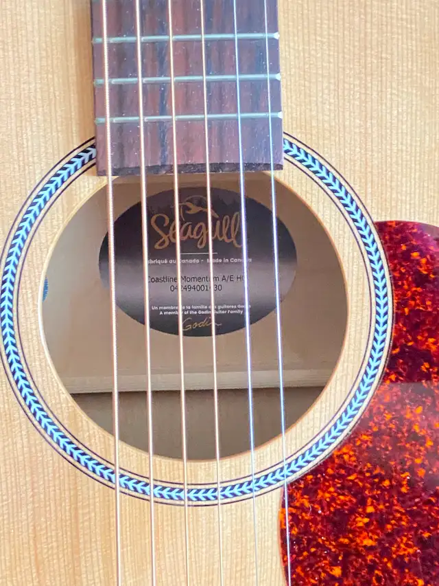 SEAGULL Coastline Momentum A/E GUITAR with electronics - Photo 9