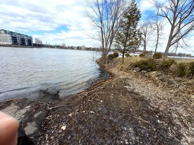 NEW 3-Bedroom | 2 Parking | Internet  Included | Near REM - Photo 8