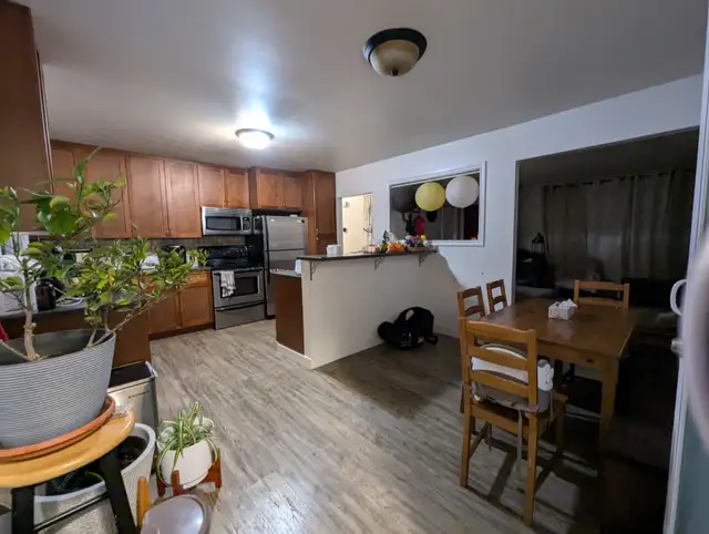 4-bed house, 2-bath with detached garage - Photo 2