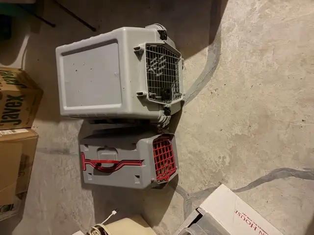 Cat Carriers - Used condition