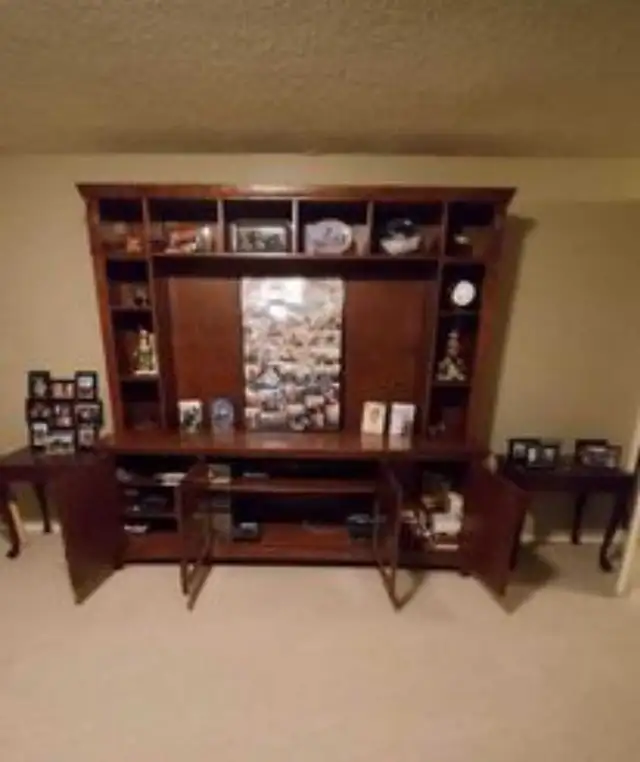 Entertainment Unit - Photo 2