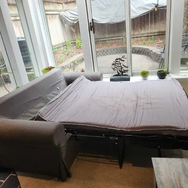 Free Sofa Bed - Futon - Photo 2