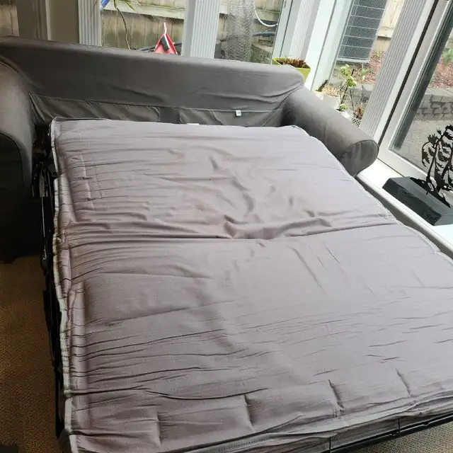 Free Sofa Bed - Futon - Photo 3