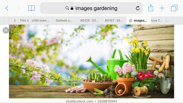 WANTED high school student for part-time gardening/yard duties