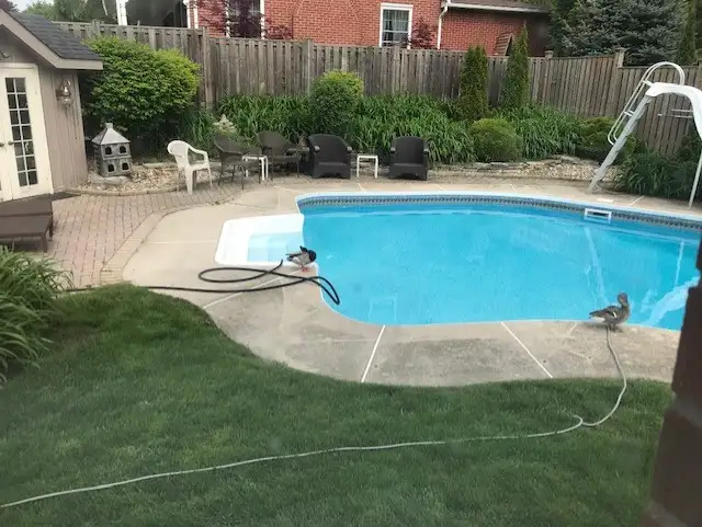 WANTED high school student for part-time gardening/yard duties - Photo 2