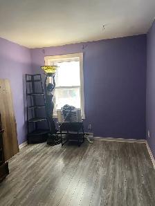 New roomie downtown Montreal