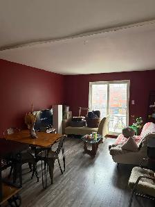 New roomie downtown Montreal - Photo 2