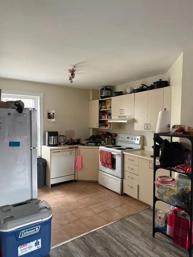 New roomie downtown Montreal - Photo 3