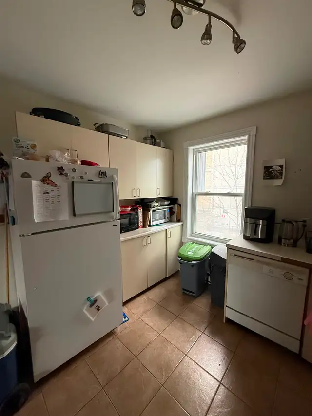 New roomie downtown Montreal - Photo 4