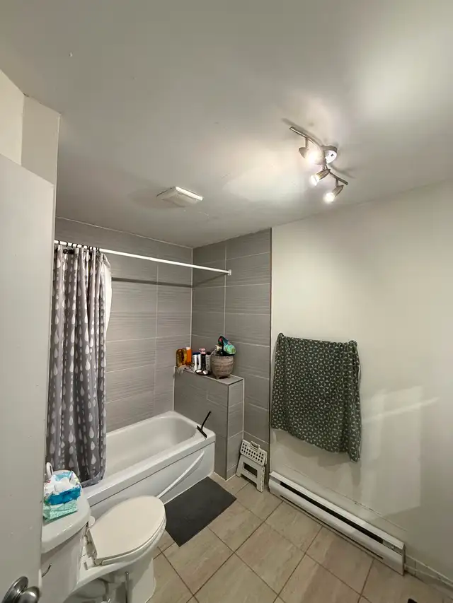 New roomie downtown Montreal - Photo 6