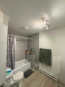 New roomie downtown Montreal - Photo 6
