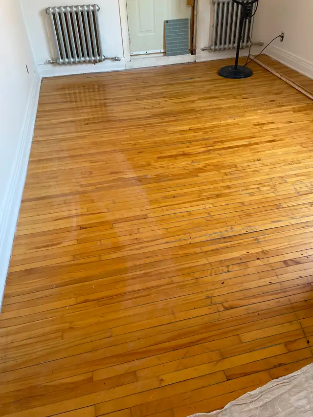 SUPERBE 2 1/2 DISPONIBLE IMMÉDIATEMENT DANS LA PETITE-PATRIE - Photo 2