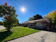 Les’  Lawn care grass, garden and hedges