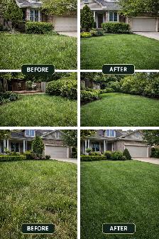 Les’  Lawn care grass, garden and hedges - Photo 2