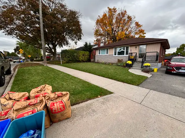Les’  Lawn care grass, garden and hedges - Photo 3
