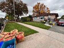 Les’  Lawn care grass, garden and hedges - Photo 3