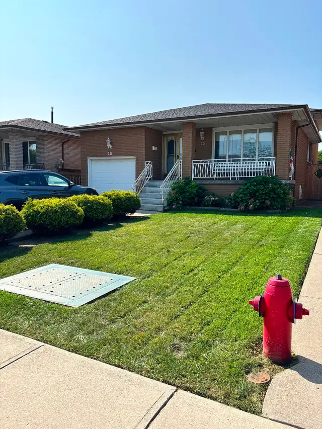 Les’  Lawn care grass, garden and hedges - Photo 4