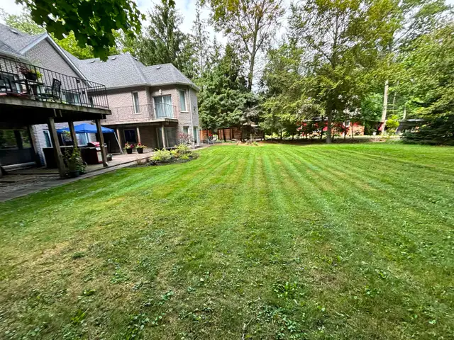 Les’  Lawn care grass, garden and hedges - Photo 5