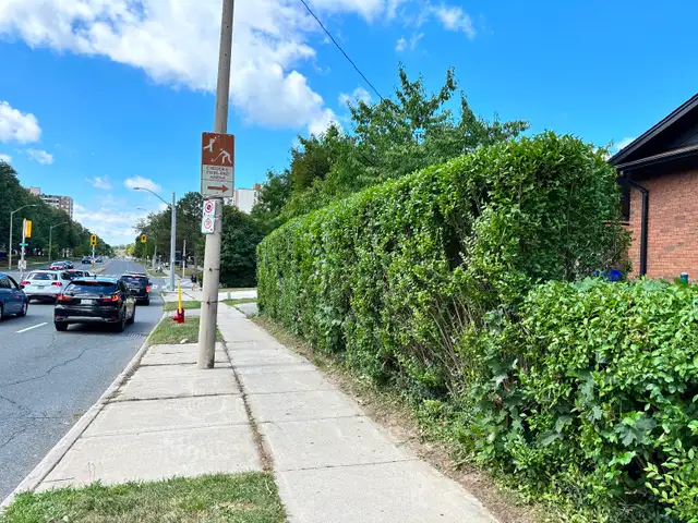 Les’  Lawn care grass, garden and hedges - Photo 6
