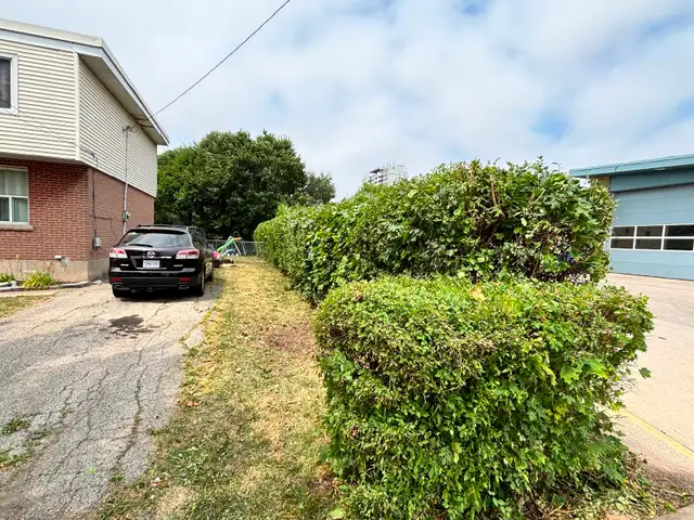 Les’  Lawn care grass, garden and hedges - Photo 8