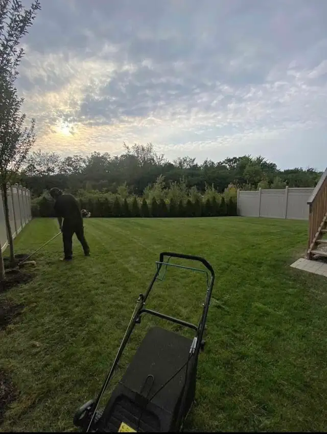 Les’  Lawn care grass, garden and hedges - Photo 9