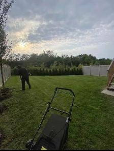 Les’  Lawn care grass, garden and hedges - Photo 9