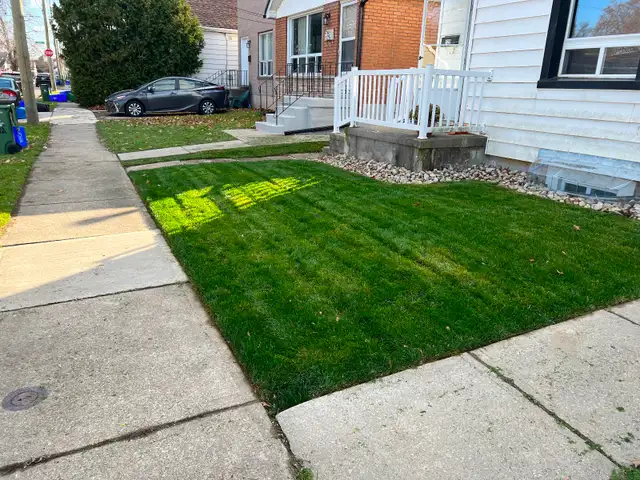 Student Rental - Photo 12