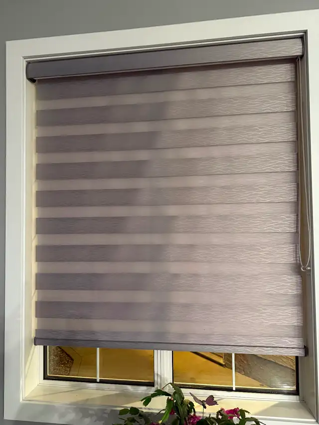 Roller Shade Blinds - Photo 2