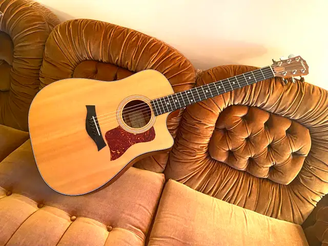 TAYLOR 310ce ALL SOLID Wood Guitar with Taylor Archtop CASE ! - Photo 4