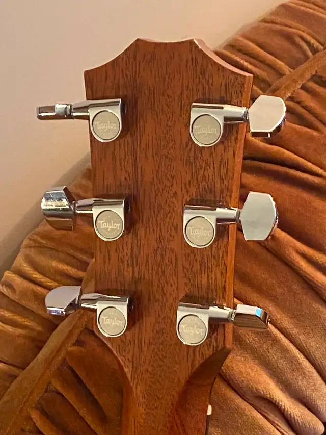 TAYLOR 310ce ALL SOLID Wood Guitar with Taylor Archtop CASE ! - Photo 8