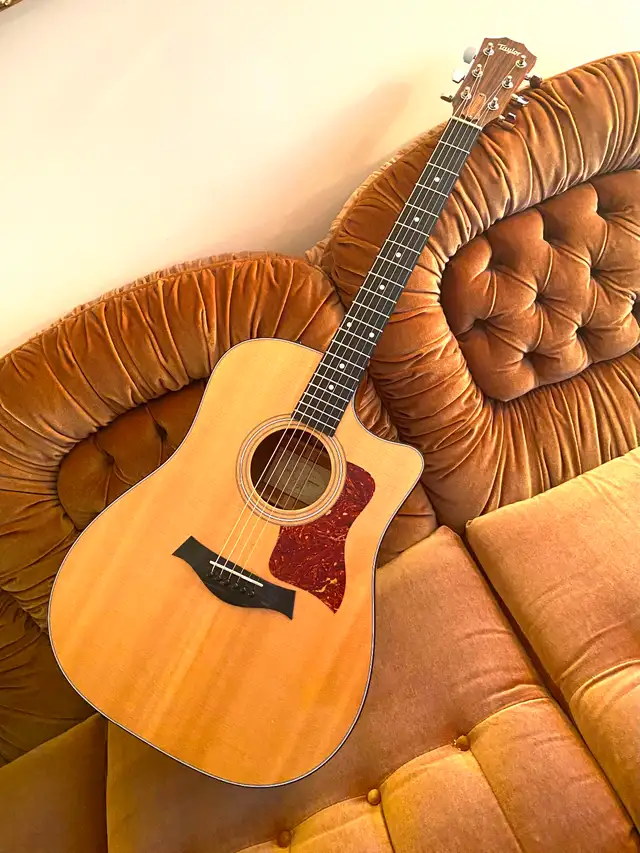 TAYLOR 310ce ALL SOLID Wood Guitar with Taylor Archtop CASE ! - Photo 9