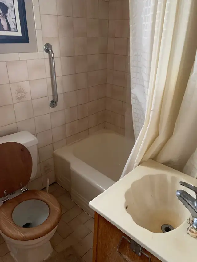 Chambre non loin du métro L'Assomption (5-10 minutes) - Photo 3