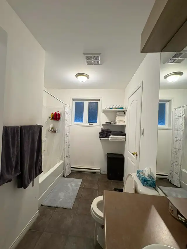 Logement 3 1/3 demi sous-sol (1er juillet 2026) - 925 $ - Photo 7