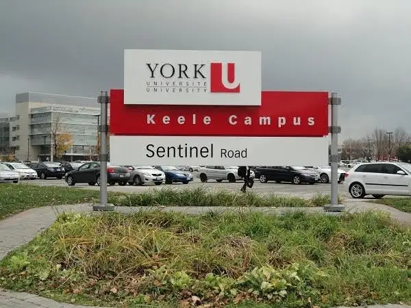 Room for Rent / North York / York Uni. Village - Photo 8