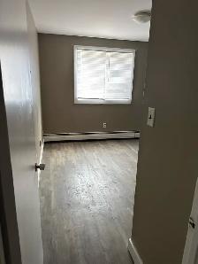 1-Bedroom Suite for Sublet – Available Immediately