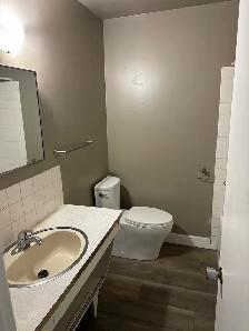 1-Bedroom Suite for Sublet – Available Immediately - Photo 4