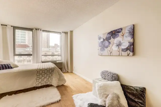 Condo for Rent Downtown / Condo à louer Centre-Ville / Montreal - Photo 5