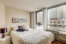 Condo for Rent Downtown / Condo à louer Centre-Ville / Montreal - Photo 6