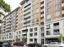 1 bedroom condo for rent - Heart of Downtown 1235 Bishop