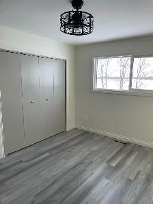 house for rent - Photo 6